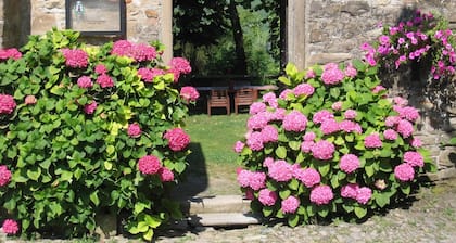 Guest House in Monferrato with Wine Tasting