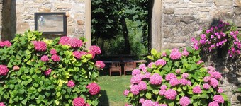 Guest House in Monferrato with Wine Tasting