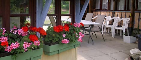 Terraza o patio