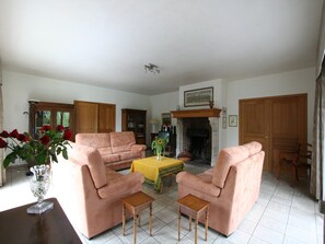 Televisor, llar de foc i taula de tennis de taula 