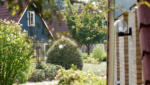 A garden with a variety of plants and a blue house with a red roof.