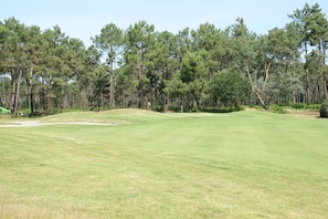 Um campo de golfe sob um céu limpo, rodeado por densos pinheiros.