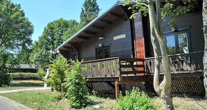 Maison de vacances confortable avec sauna à Houyet