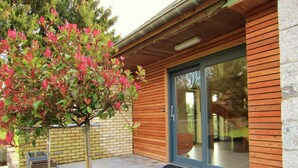 A modern building with a brick wall, a wooden door, and a tiled patio area with planters.