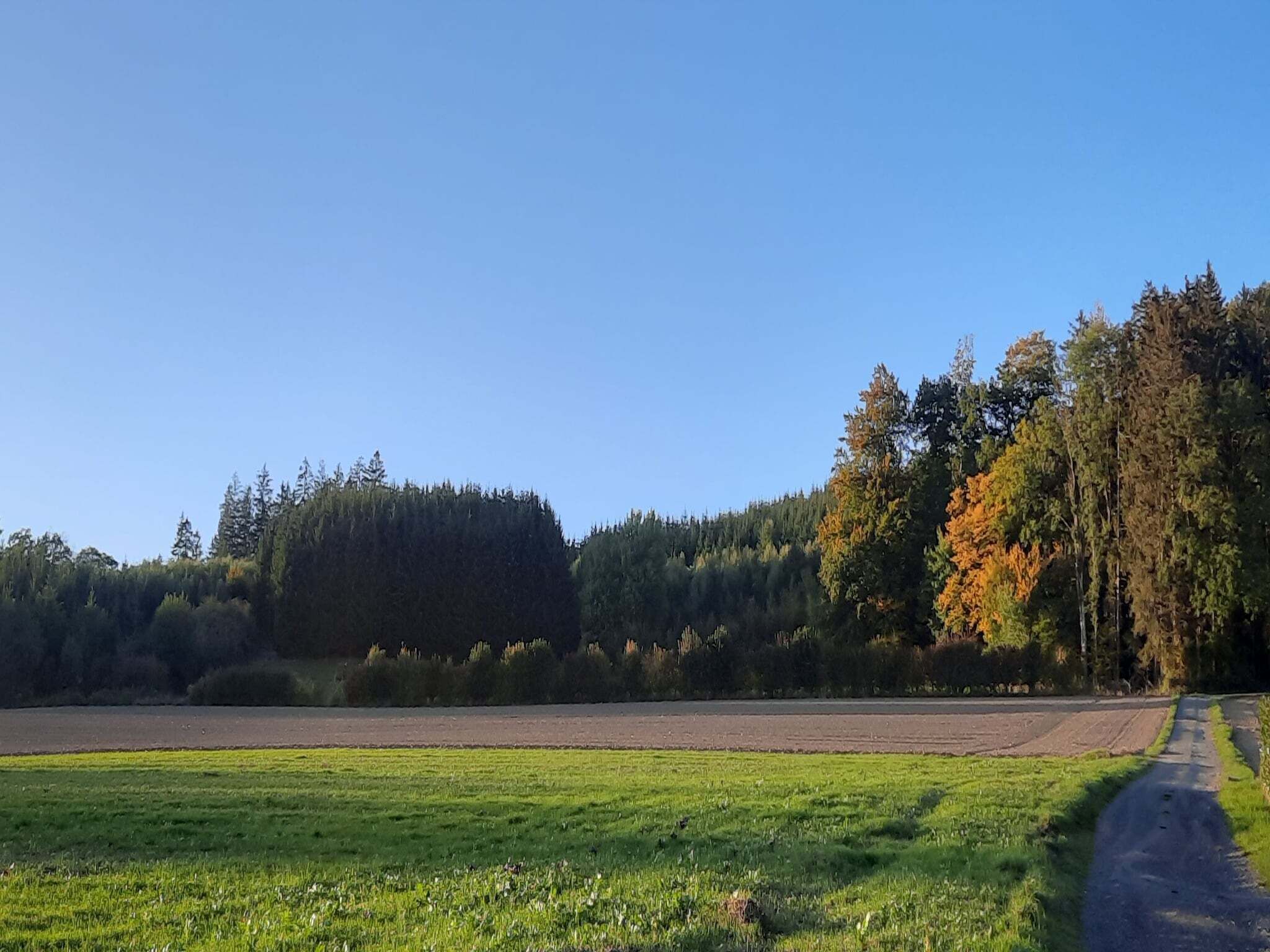 Region [summer] (>5 km)