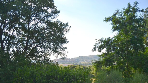 Paisagem natural com vegetação densa e uma vista distante de uma colina com edifícios.
