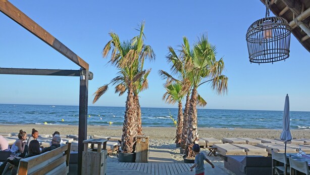 A wooden deck with palm trees, beach chairs, and tables, overlooking the ocean.