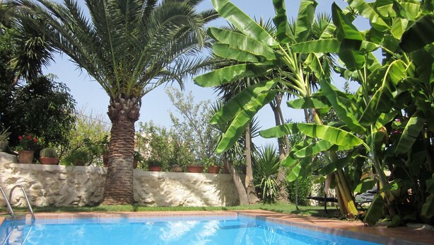 Ein Schwimmbecken, umgeben von üppiger Vegetation, darunter Palmen und Bananenpflanzen.