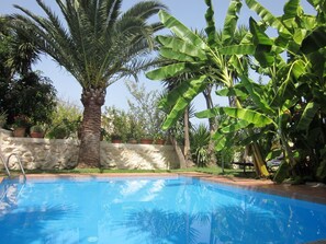 Una piscina rodeada de abundante vegetación, con palmeras y plantas de plátano.