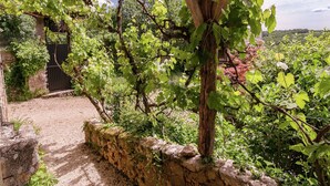 A vineyard with a pergola structure, stone walls, and a gravel path. - Country House in Dordogne near Lascaux Cave (Les Eyzies-De-Tayac-Sireuil)
