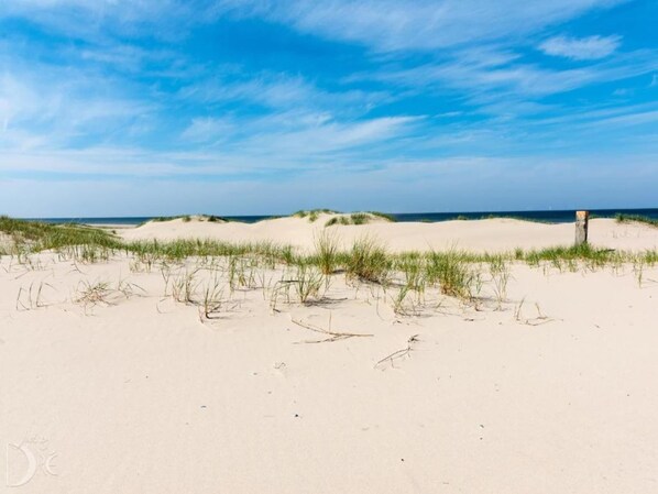 On the beach - Welcoming Beach Stay (Egmond aan zee)