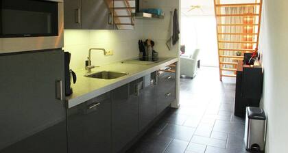 Holiday Home in Langweer with Infrared Sauna