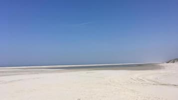在海灘附近