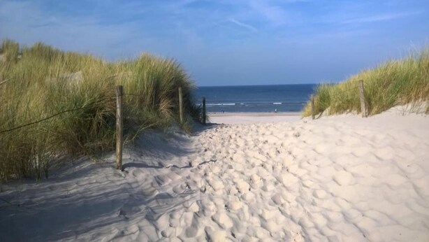 Un sentier de sable qui longe la plage et mène à l’océan, bordé de dunes herbeuses et de poteaux en bois.