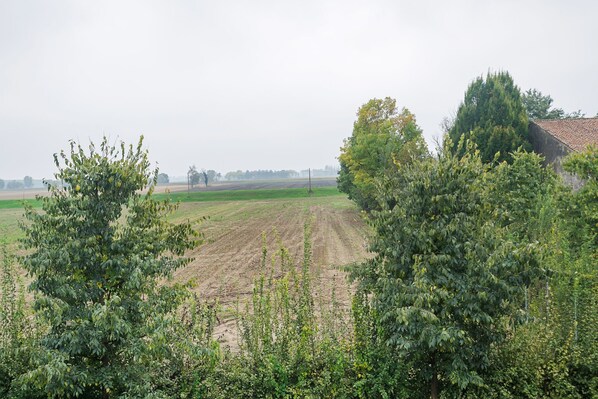 A rural landscape with fields, trees, and a building with a red roof.