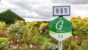 A rural road sign with the number 665 and a green sign below it that reads "Gite rural".
