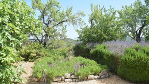 A garden with various plants and a stone wall. - Algarve Casa with Pool (Loulé)