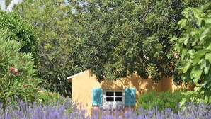 A small building with a window and shutters, surrounded by lush greenery and purple flowers. - Algarve Casa with Pool (Loulé)