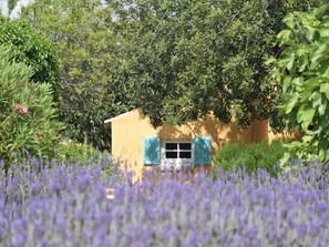 Feriebolig udendørs (sommer)