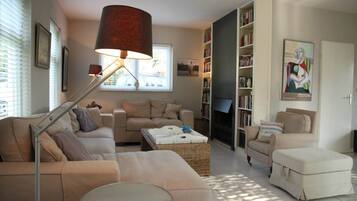 电视、壁炉、DVD 播放器