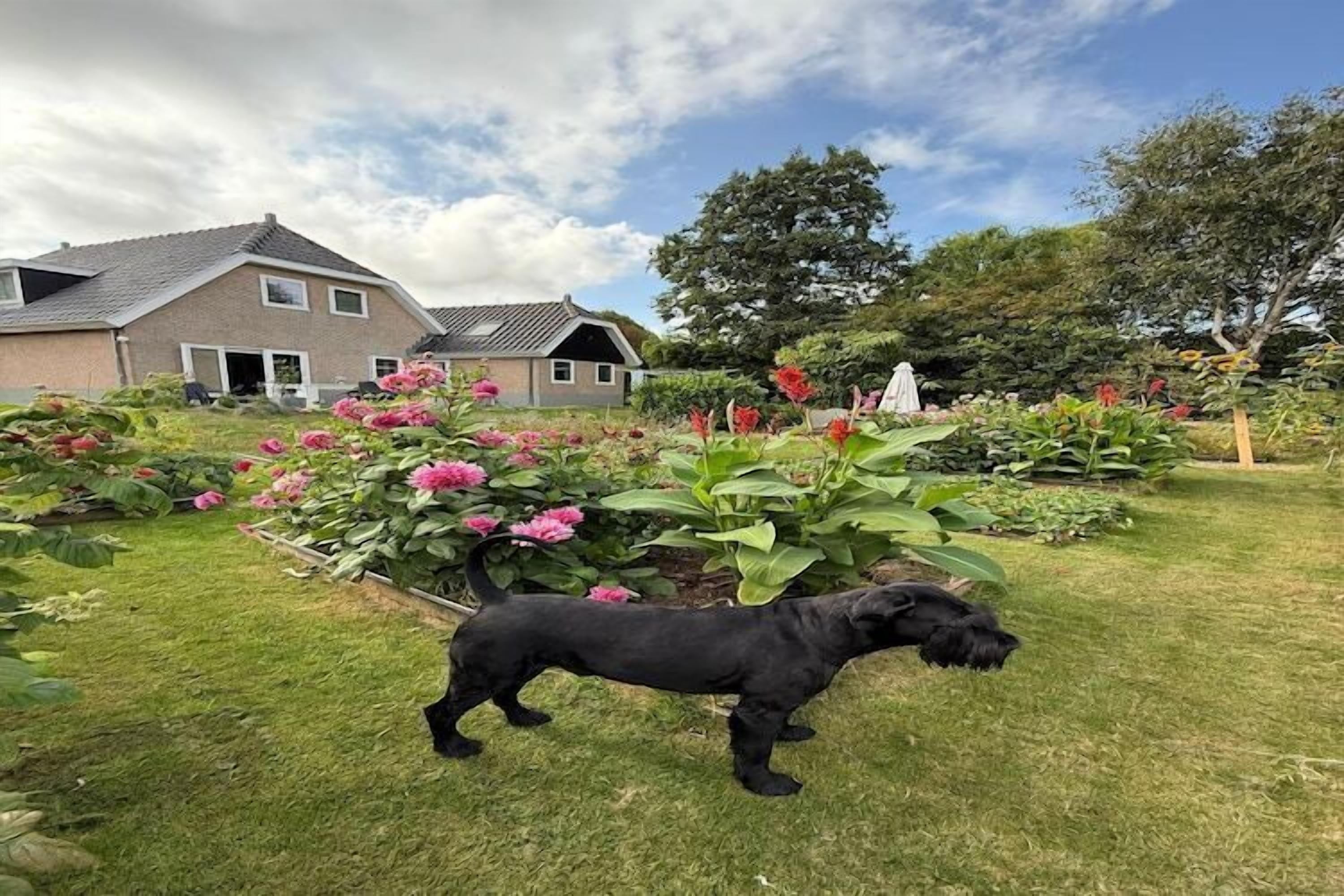 Terrein van de accommodatie
