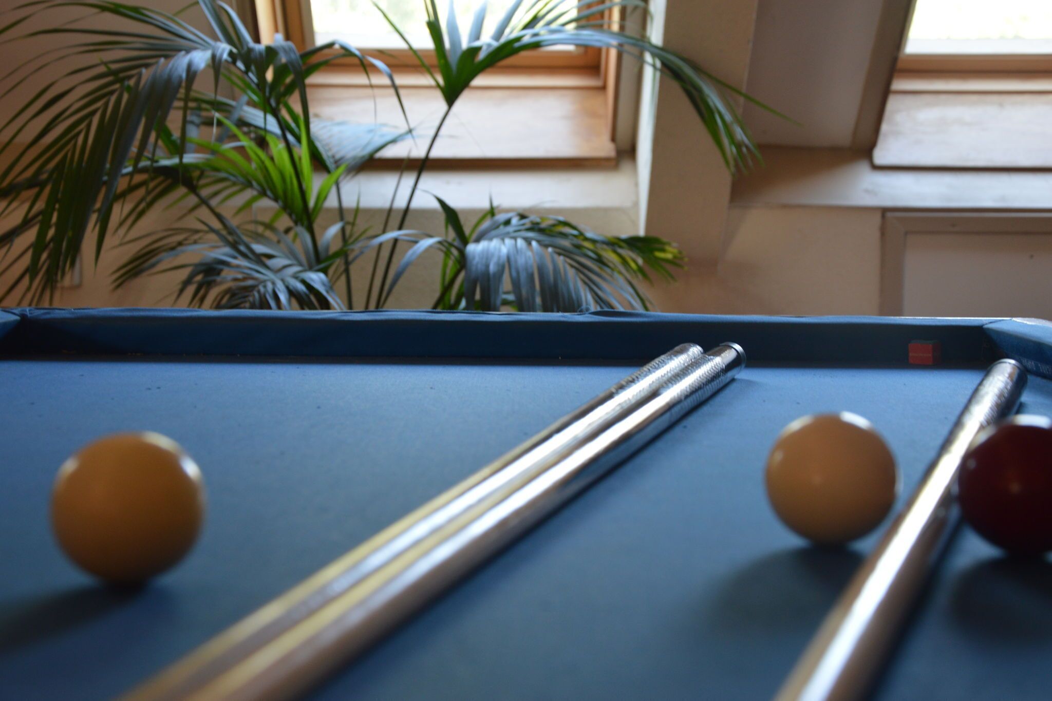 A pool table with balls and cues, a potted plant, and a window in the background.