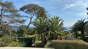 A landscaped garden with palm trees and a view of the sea.