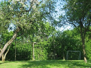 Terrain de sport
