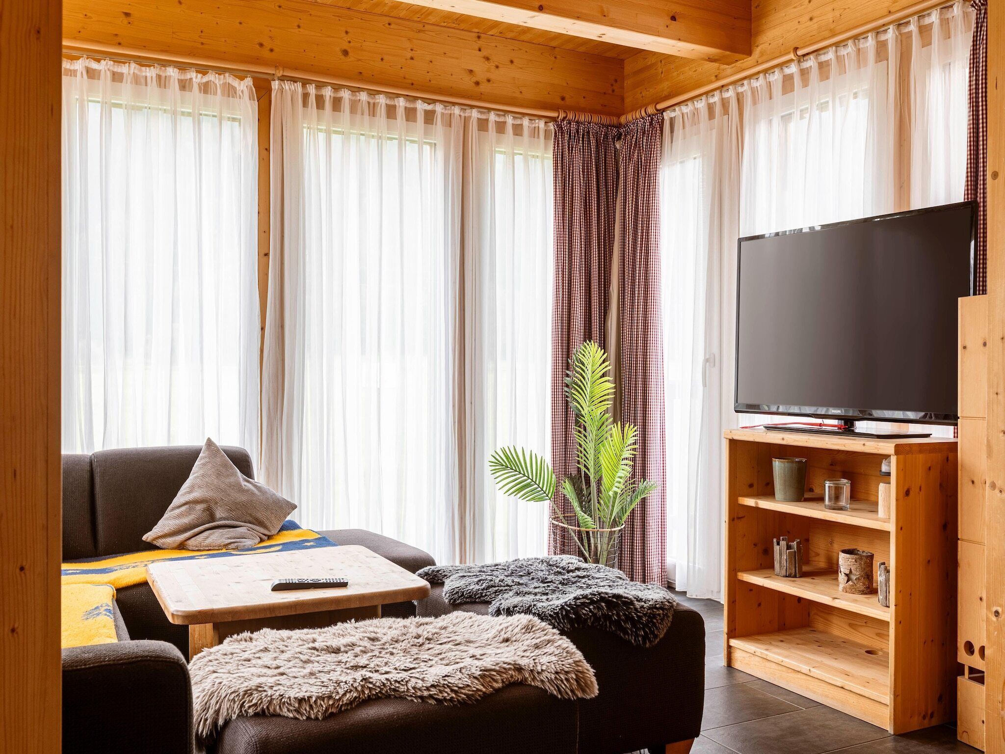 TV