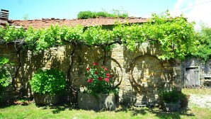 A stone building with a tiled roof, vines growing over the walls, and a small garden area with potted plants and flowers. - Rustic Tuscan Cottage (Fivizzano)