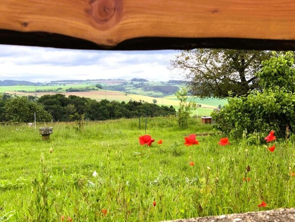 Área da propriedade