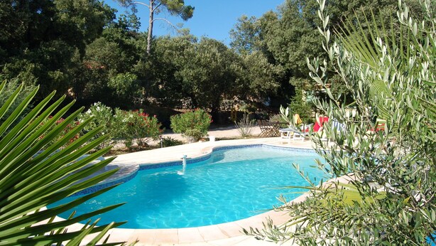 A swimming pool surrounded by lush greenery and trees.