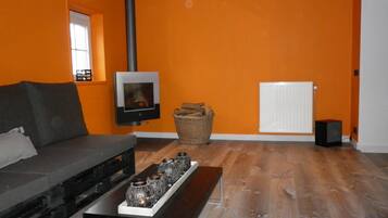 Fernseher, Kamin