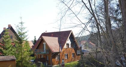 Ferienhaus Hexenstieg mit Sauna im Harz