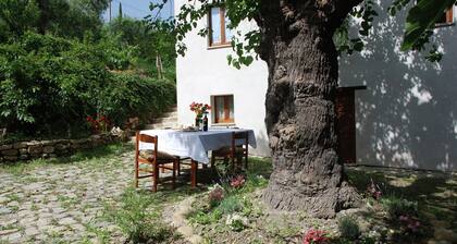 Charmante ferme avec jardin privé à Barchi Marche