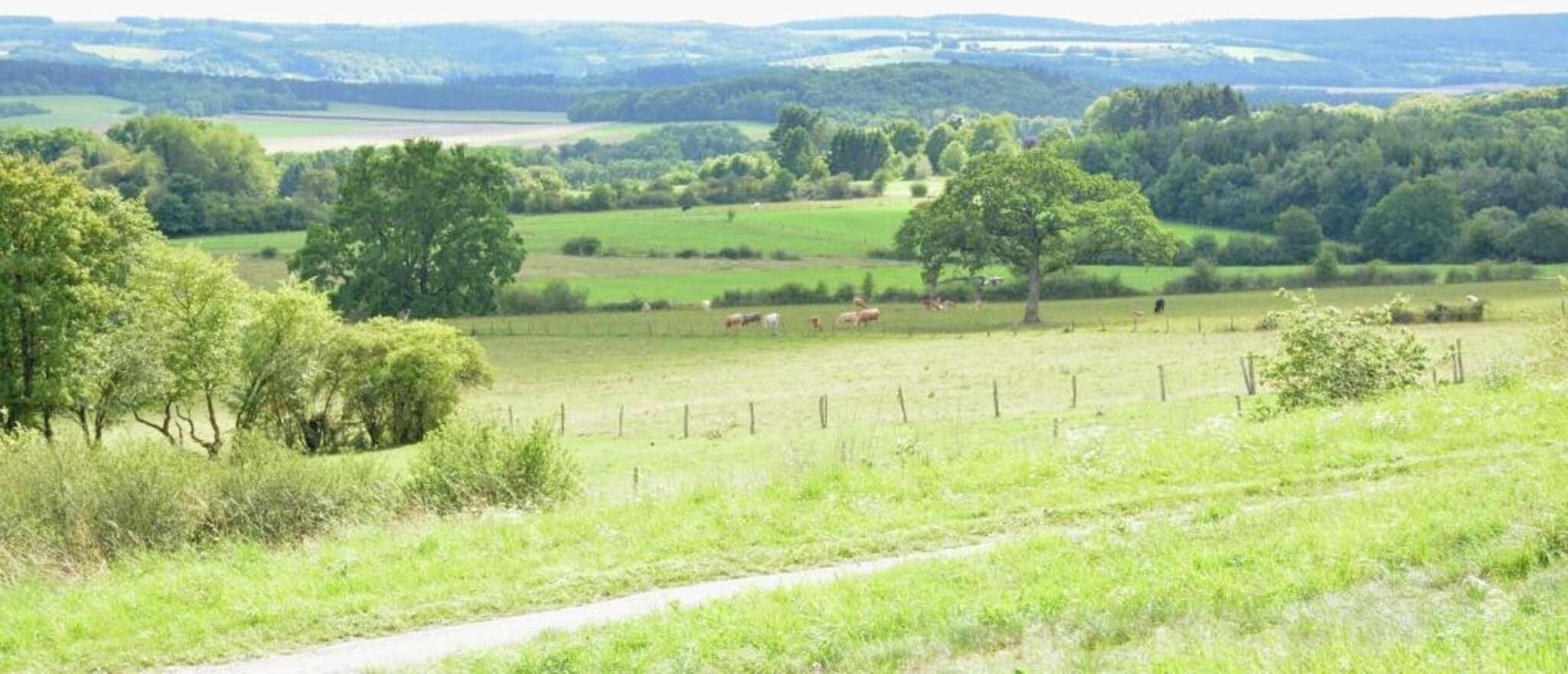 Dans la région [été] (>5 km)
