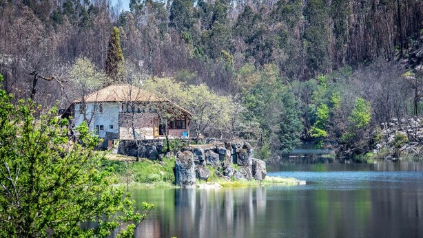 A rustic house with a thatched roof on a rocky island in a calm lake, surrounded by dense forest.