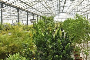 Property grounds - Belvilla by OYO Menotti (Trecase)