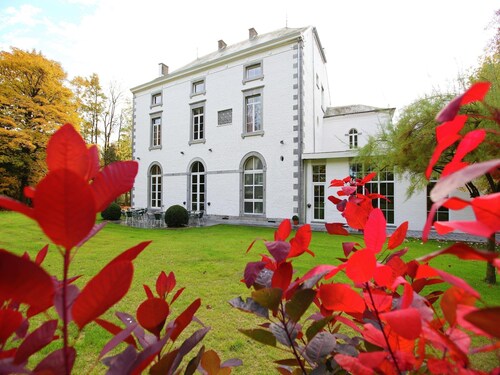 Luxurious Mettet Mansion