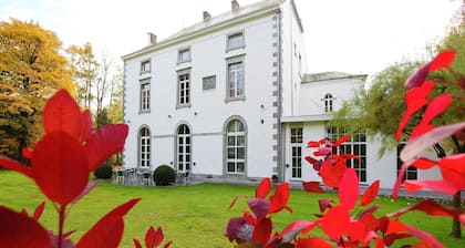 Luxurious Mettet Mansion