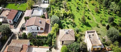 An aerial view of a residential area with houses, a well-maintained garden, and a clear road.