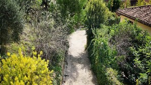 A narrow, unpaved path surrounded by dense greenery and trees. - Holiday Home in Lido di Noto near Beach (Lido di Noto)