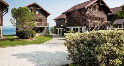 Apartment in Evian with Lake Geneva View