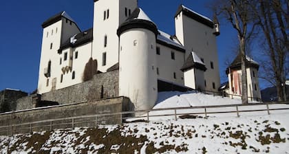 Manoir à Goldegg prÚs du télésiÚge