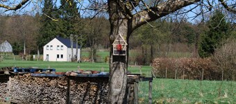 Holiday Home in Ardennes near Nature Park