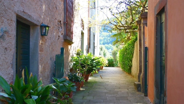Un estrecho callejón adoquinado, flanqueado por edificios con contraventanas verdes y macetas con plantas.