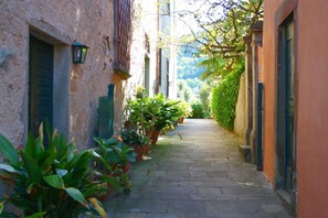 Un estrecho callejón adoquinado, flanqueado por edificios con contraventanas verdes y macetas con plantas.