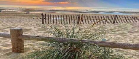 A beach with a wooden fence and tall grasses in the foreground.