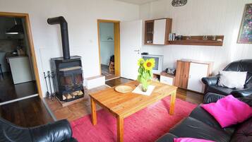 TV, fireplace, DVD player