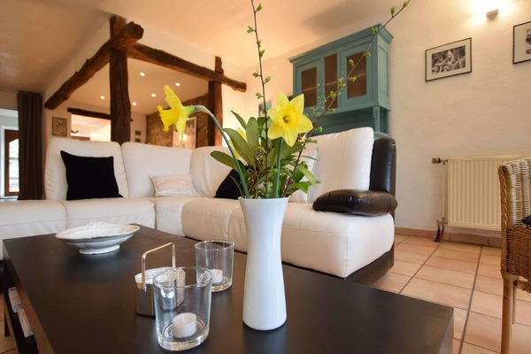 Televisor i llar de foc